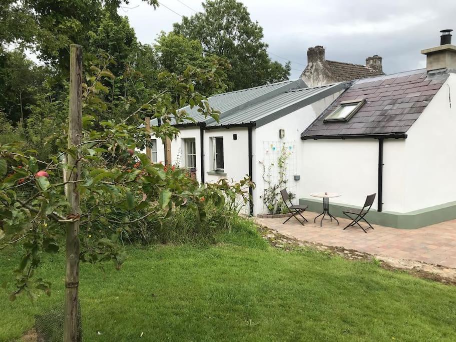 An Bothan-Cosy Cottage In The Cooley Mountains Dundalk Dış mekan fotoğraf